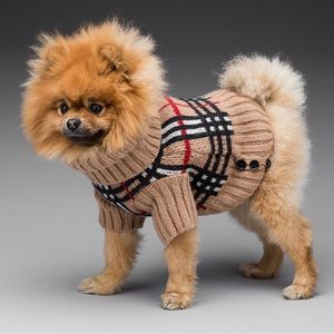 Burberry Dog 542 Euc Authentic Burberry Dog Lambs Wool Sweater